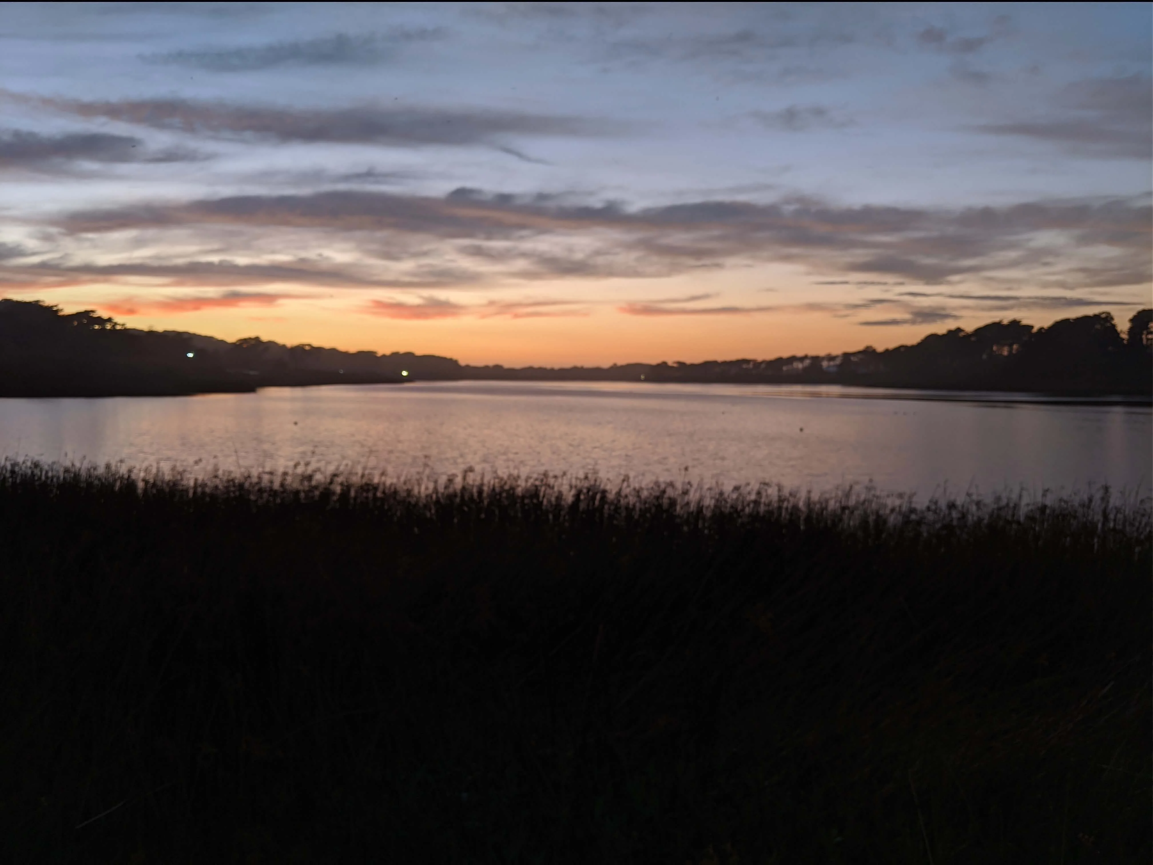 view from Lake Merced